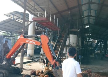 DLH Langkat Disorot, Isu Dominasi Kabid PPLH Menguat, Aktivis Desak Evaluasi Total Pengawasan Lingkungan