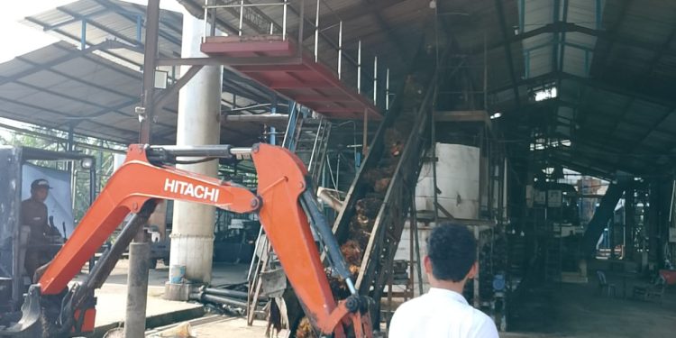 DLH Langkat Disorot, Isu Dominasi Kabid PPLH Menguat, Aktivis Desak Evaluasi Total Pengawasan Lingkungan