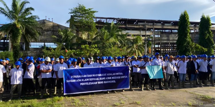 Kebun PTPN Cot Girek Diokupasi dan Dijarah, Pekerja Menderita Negara Merugi