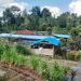 Kampung Wisata Cilallang Bulukumba Tawarkan Wisata Alam dan Edukasi Budidaya Ikan, Jadi Favorit Keluarga