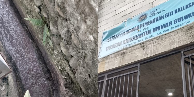 Bau Limbah Dapur MBG di Ballasaraja Bulukumba Jadi Sorotan, DLHK Diminta Periksa IPAL dan Lokasi Dekat Sarang Walet