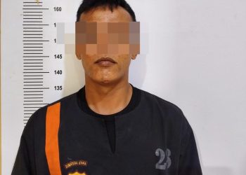 Satreskrim Polres Labuhanbatu Tangkap Terduga Pelaku Curanmor, Kunci Letter T Disita