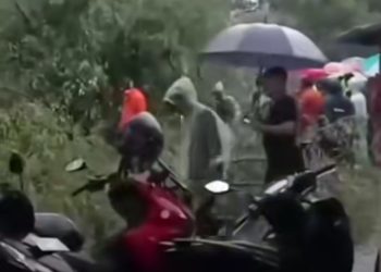 Pohon Besar Tumbang Dijantung Kota Binjai, Timpa Lapak UMKM dan Lukai Seorang Pedagang