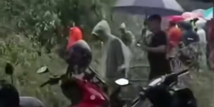 Pohon Besar Tumbang Dijantung Kota Binjai, Timpa Lapak UMKM dan Lukai Seorang Pedagang