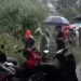 Pohon Besar Tumbang Dijantung Kota Binjai, Timpa Lapak UMKM dan Lukai Seorang Pedagang