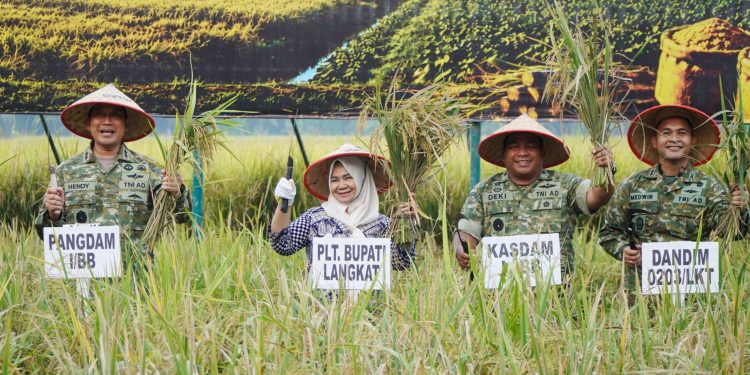 Tiorita dan Pangdam I/BB Pimpin Panen Raya TNI di Langkat, Perkuat Barisan Menuju Swasembada Pangan Nasional