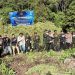 BNN Musnahkan 12 Hektare Ladang Ganja di Aceh, 30 Ribu Batang Siap Panen Dibabat