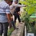 Drainase Tak Berdaya, Banjir Tahunan Hantui Warga dan Rumah Ibadah di Rantauprapat