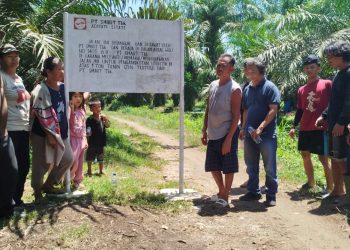 Perlakuan Diskriminatif PT SMART Tbk, Petani Sawit Sekitar Kebun Adipati Semakin Sulit