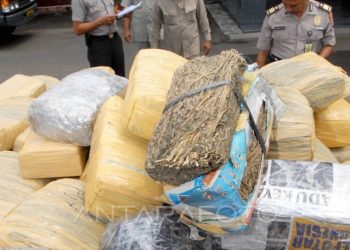 169,6 Kg Ganja dari Aceh Disergap di Deli Serdang, Tiga Pelaku Diciduk Polisi