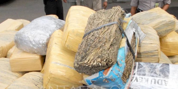 169,6 Kg Ganja dari Aceh Disergap di Deli Serdang, Tiga Pelaku Diciduk Polisi