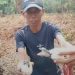 Puluhan Telur Buaya Menetas Dikebun Sawit Desa Pasar Rawa, Langkat, Bayi Predator Itu Berkeliaran