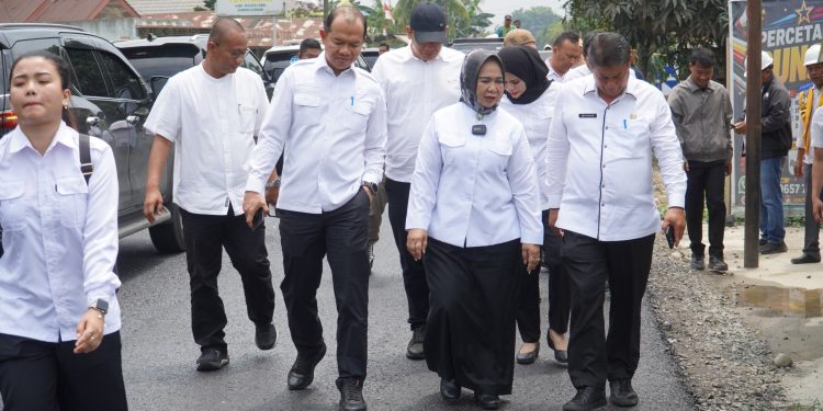 Plt Bupati Tiorita Tinjau Jalan Secanggang, Tahap I Rampung Sesuai Janji