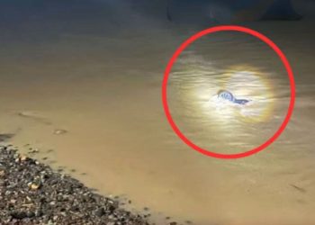 Avanza Terbalik di Sungai Batang Serangan, 3 Penumpang Tewas, Satu Kritis