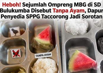 Heboh! Sejumlah Ompreng MBG di SD Bulukumba Disebut Tanpa Ayam, Dapur Penyedia SPPG Taccorong Jadi Sorotan