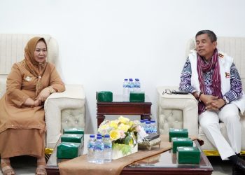 Plt Bupati Tiorita dan Hinca Pandjaitan Perkuat Sinergi Pembangunan Langkat