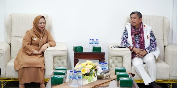 Plt Bupati Tiorita dan Hinca Pandjaitan Perkuat Sinergi Pembangunan Langkat