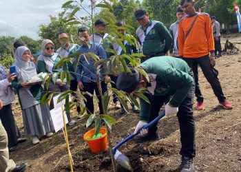Revitalisasi Hutan Kota, 387 Pohon Bibit Buah di Tanam