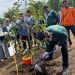 Revitalisasi Hutan Kota, 387 Pohon Bibit Buah di Tanam