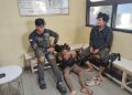 Polisi Ringkus Seorang Pemuda, Diduga Melakukan Tindak Pidana Curanmor