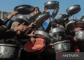 FAO: Sedikitnya 1,2 Juta Warga Palestina Alami Krisis Pangan Akut