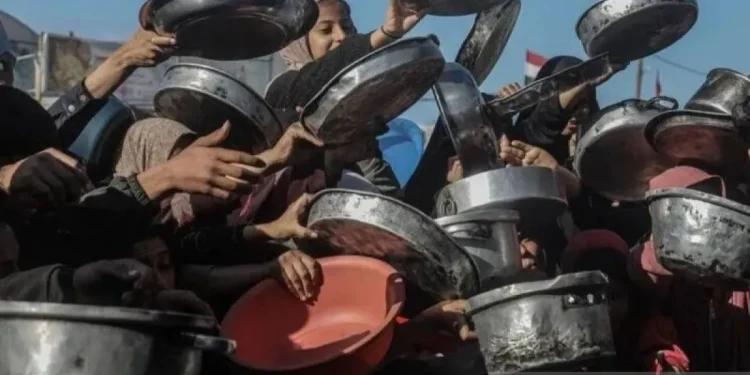 FAO: Sedikitnya 1,2 Juta Warga Palestina Alami Krisis Pangan Akut